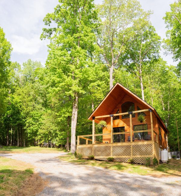CABIN 51 2 CABIN 51 2